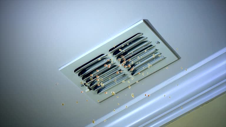 Ductwork Cleaning Services in Toluca, IL