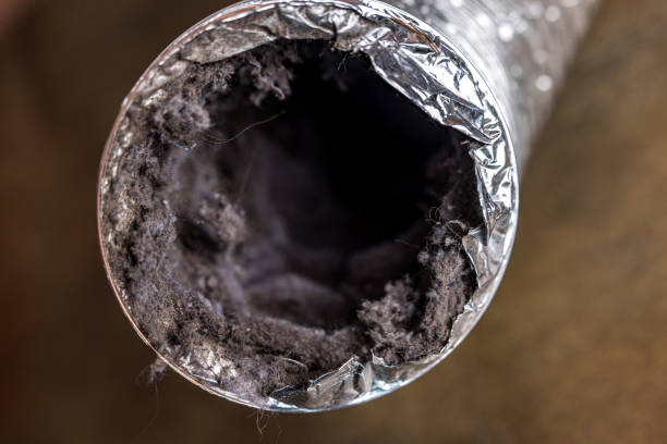 Best HVAC Air Duct Cleaning  in Toluca, IL