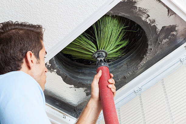 Best Best Air Duct Cleaning Near Me  in Toluca, IL