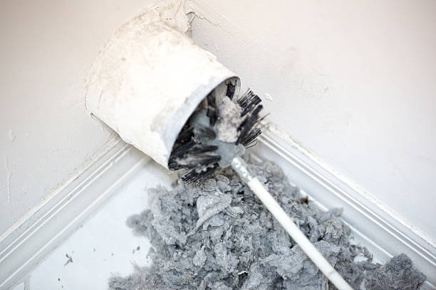Best HVAC Duct Inspection Services  in Toluca, IL
